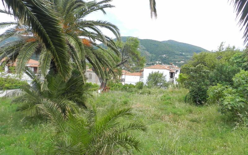 Four plots for sale inside Skopelos Town
