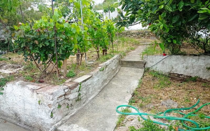 Skopelos town property with two houses and garden