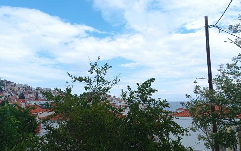 Skopelos town property with two houses and garden