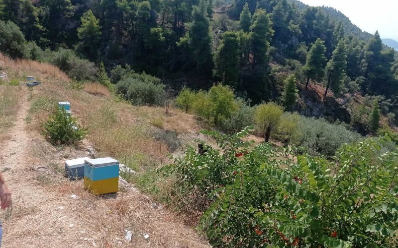 Plot with building permit overlooking Old Klima and the Aegean Sea
