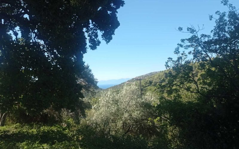 Stone made cottage to renovate in Ananias area