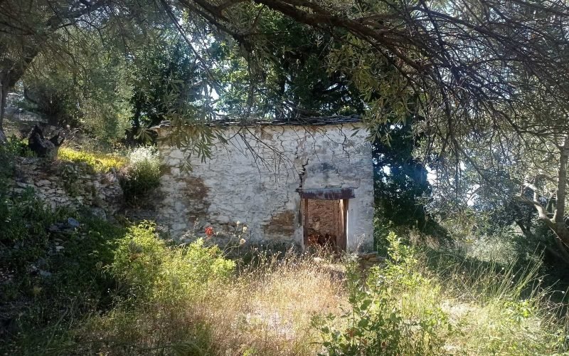 Stone made cottage to renovate in Ananias area