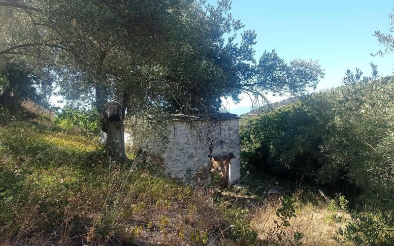 Stone made cottage to renovate in Ananias area