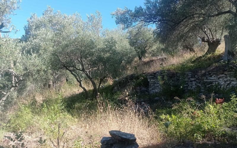 Stone made cottage to renovate in Ananias area