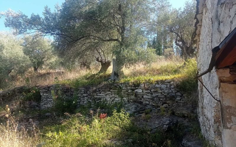 Stone made cottage to renovate in Ananias area