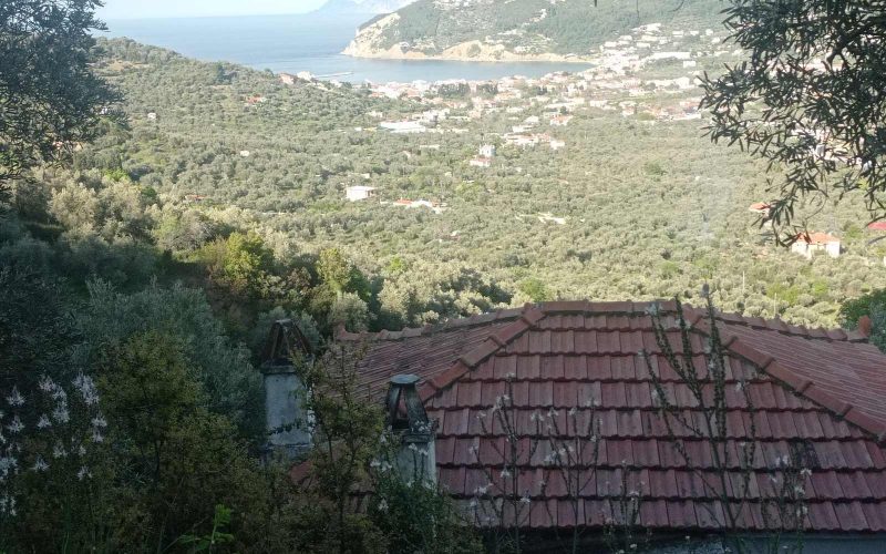 Adorable cottage to renovate overlooking Skopelos Town bay