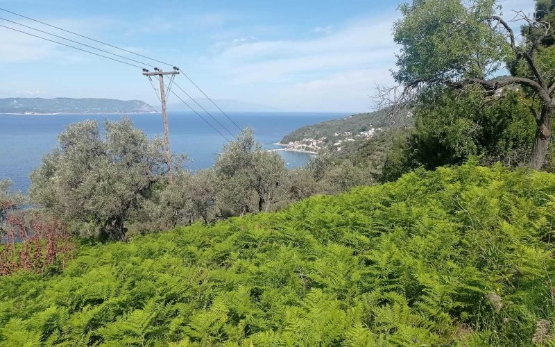 Amazing plot in Palaio Klima with breathtaking Sea views