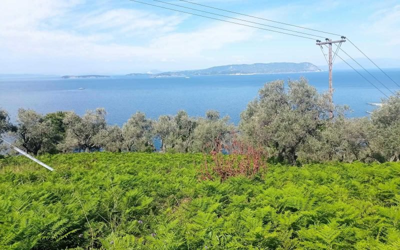 Amazing plot in Palaio Klima with breathtaking Sea views