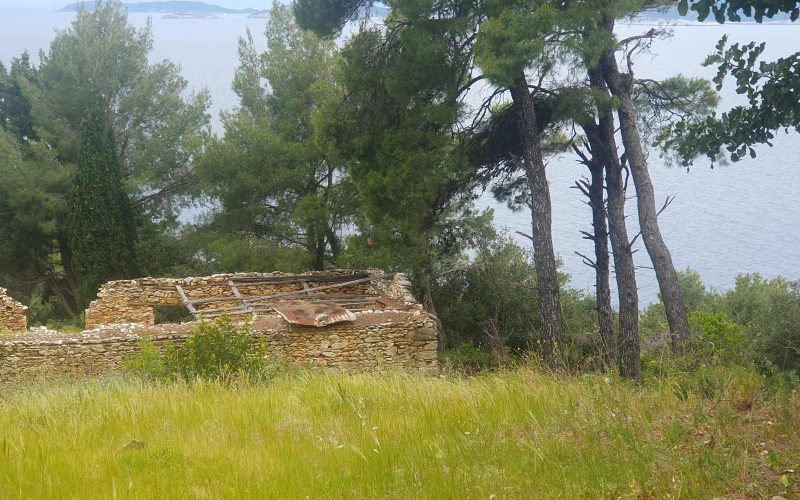 Two cottages for renovation in a spacious land with access to the Sea