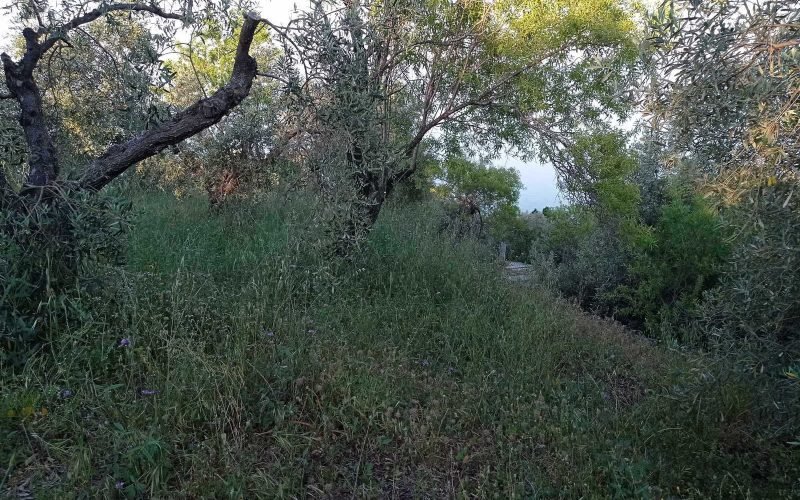 Plot in Glossa with breathtaking views to Ai Giannis Kastri