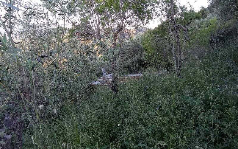 Plot in Glossa with breathtaking views to Ai Giannis Kastri