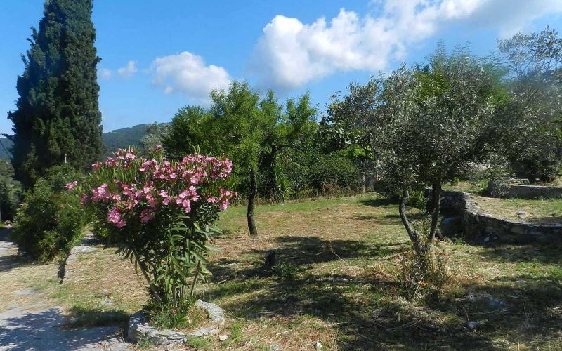 Traditional cottage in the area of Alikias Garden