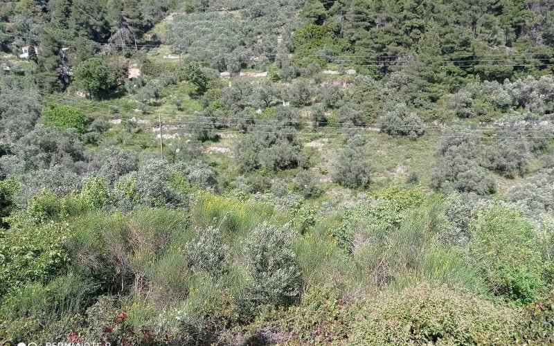 Buildable plot with views close to Armenopetra beach