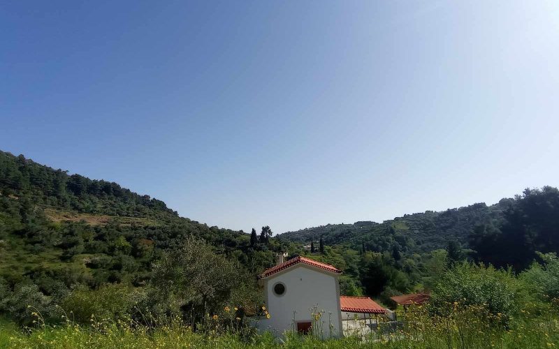 Big land with spacious cottage in the area of Potami