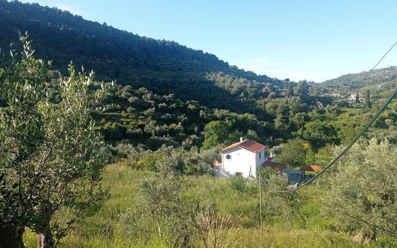 Big land with spacious cottage in the area of Potami