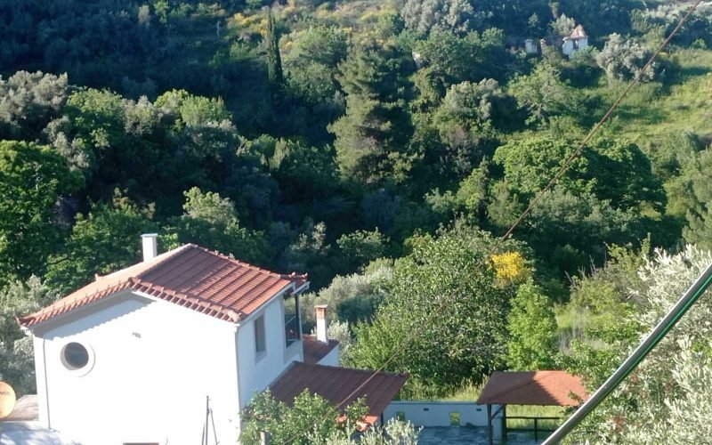 Big land with spacious cottage in the area of Potami