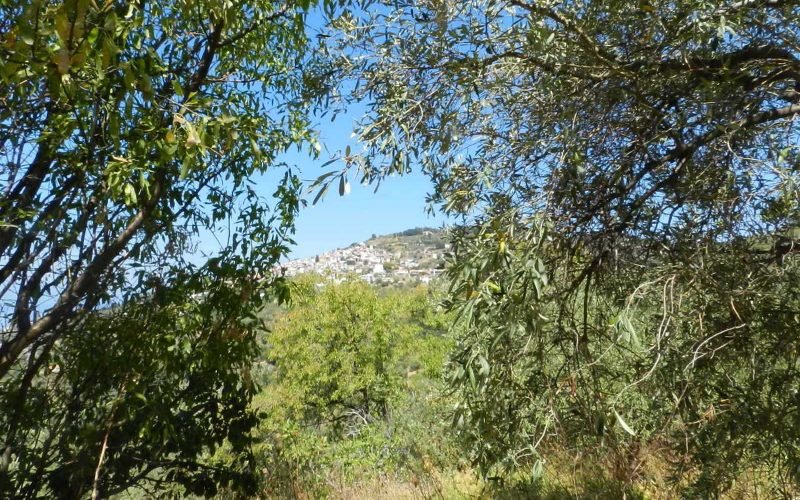 Plot near Glossa rea with views to the Sea Glossa views