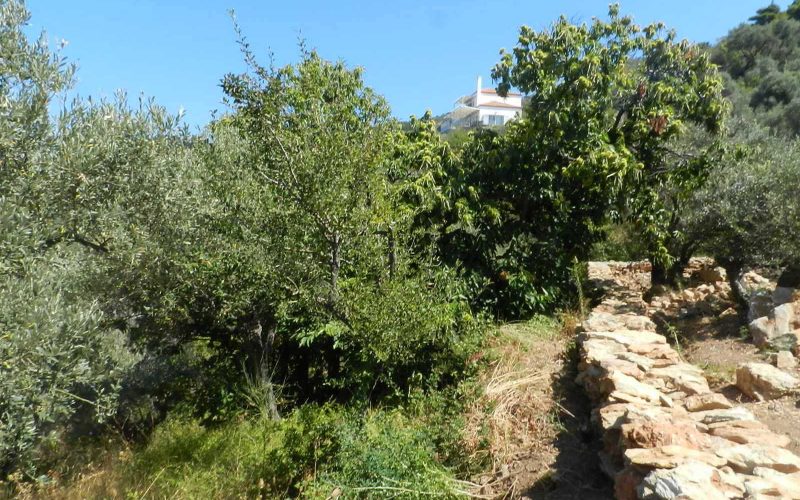 Plot near Glossa rea with views to the Sea Teerraces