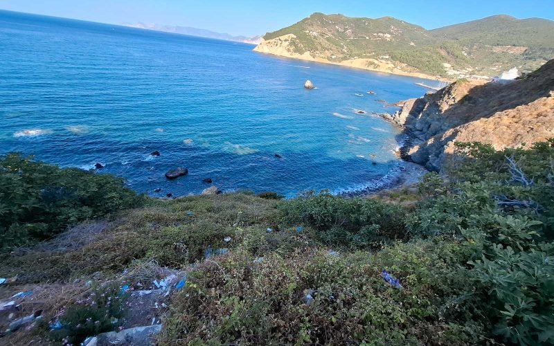 Unique Skopelos Town Seafront property