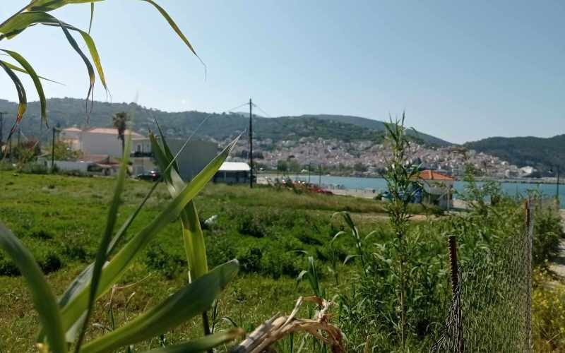 Unique plot in Skopelos Town waterfront