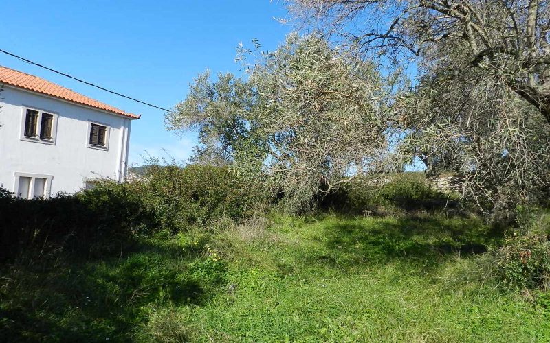 Land close to Skopelos waterfront with buildng permit Land 2