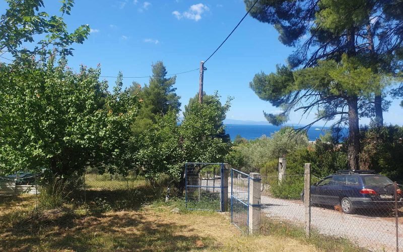 Cottage and spacious land in walking distance to the beach.