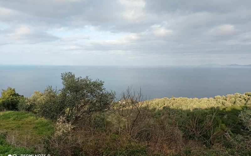 Spacious plot with small cottage and views to the Sea