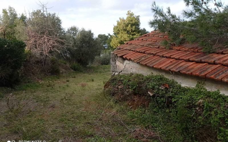 Spacious plot with small cottage and views to the Sea