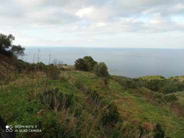 Spacious plot with small cottage and views to the Sea