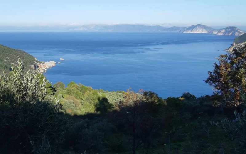 Land in Raches area with best views to the Aegean Sea