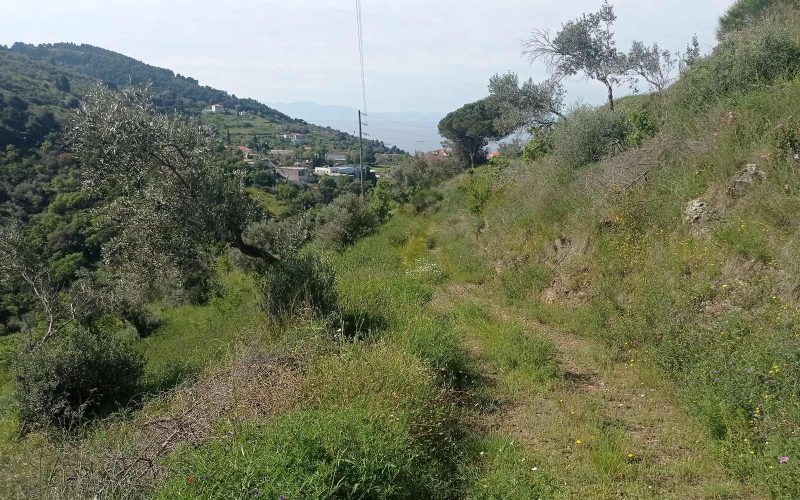 Beautiful plot with Sea views and building permit in Glossa area