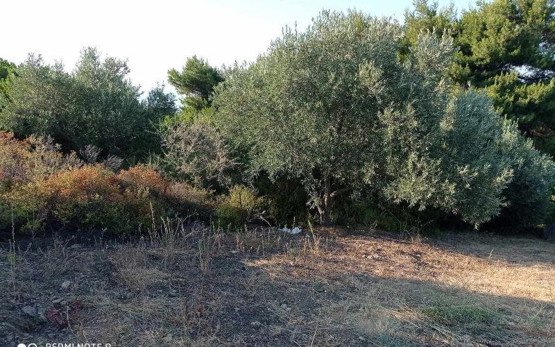 Plot with views to the sea and walking distance to beach