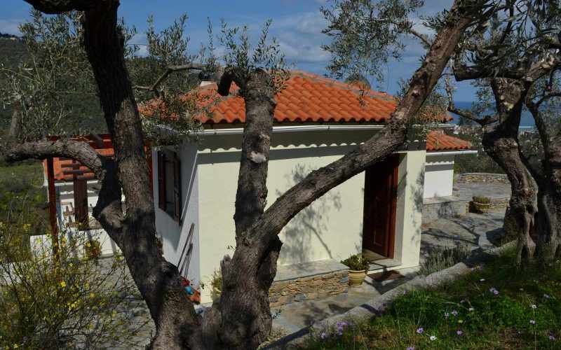 Villa with guest house close to Skopelos Town Guest house