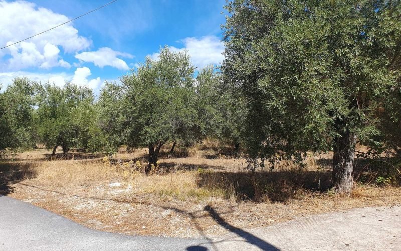 Lovely Stafilos plot