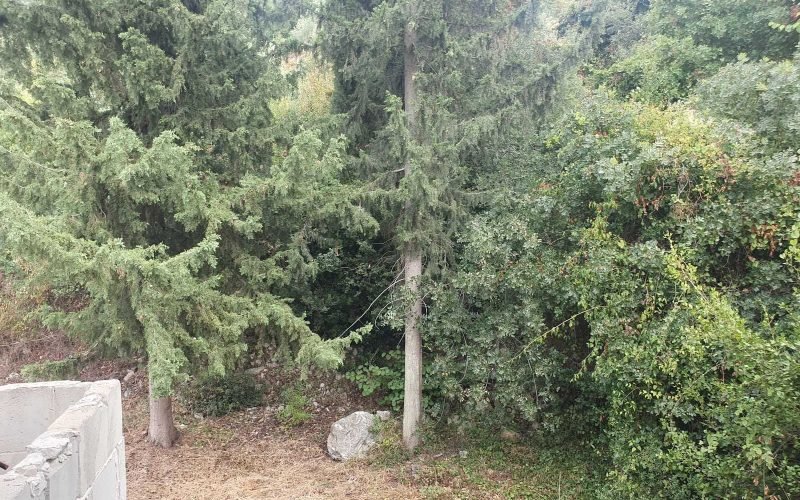 Unfinished property close to Skopelos Town and waterfront