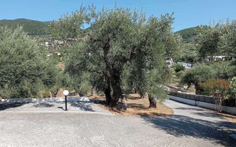 Apartment and studios for sale in Stafilos area Parking area