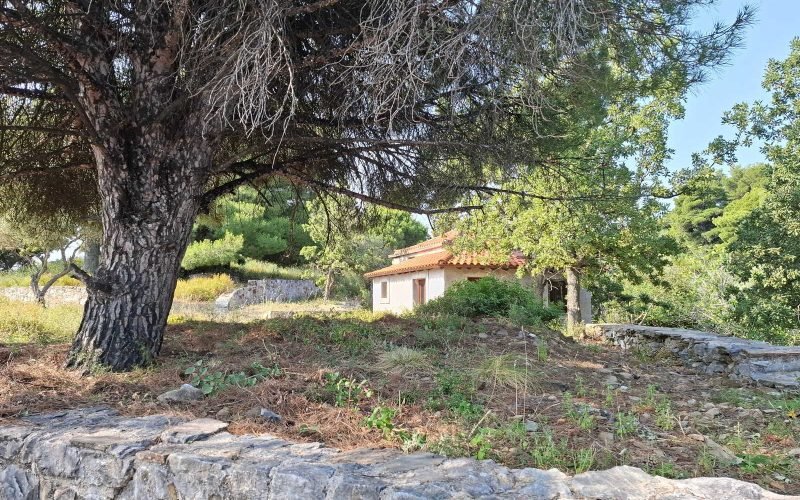 Lovely cottage with big land in Pefkias area