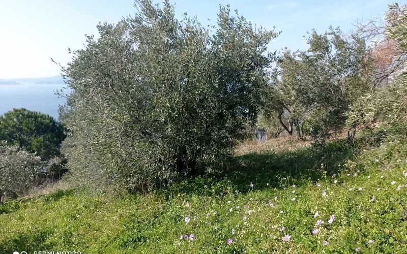 Buildable plot with uninterrupted views to the Sea in Old Klima