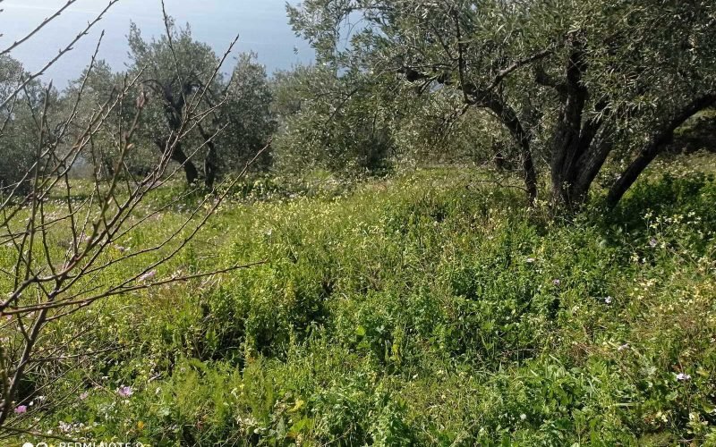 Buildable plot with uninterrupted views to the Sea in Old Klima