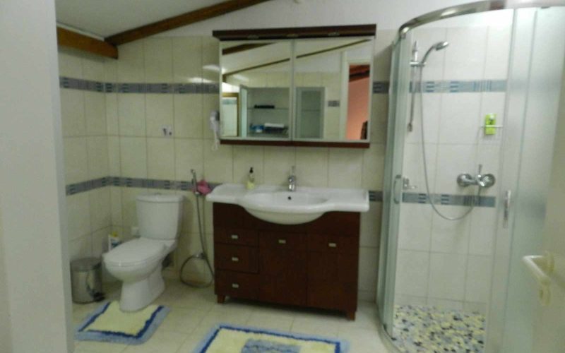 Villa with swimming pool and stunning views to the Sporades Islands The bathroom