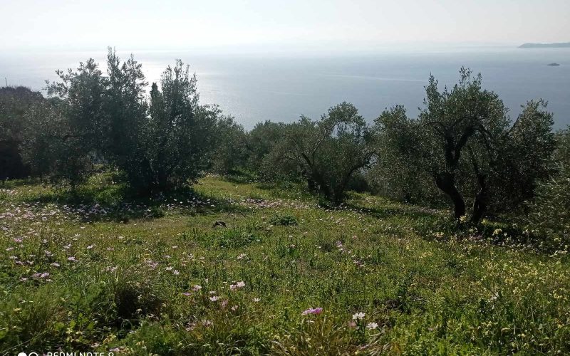 Buildable plot with uninterrupted views to the Sea in Old Klima