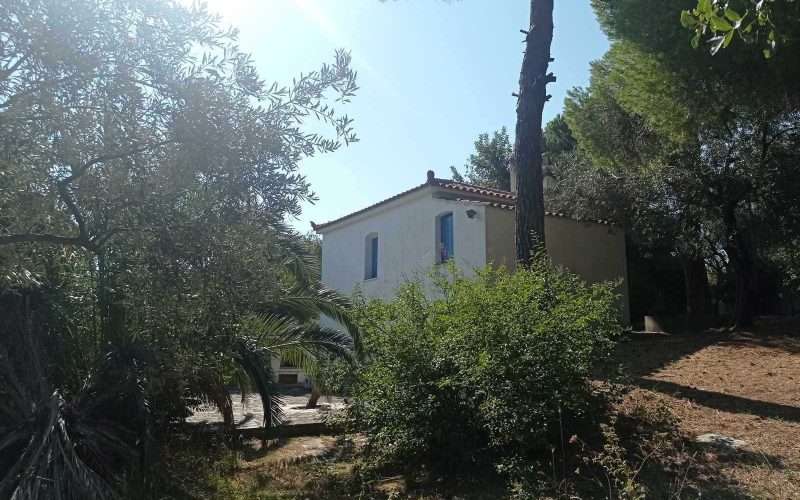 Traditional cottage in spacious olive grove close to Panormos beach