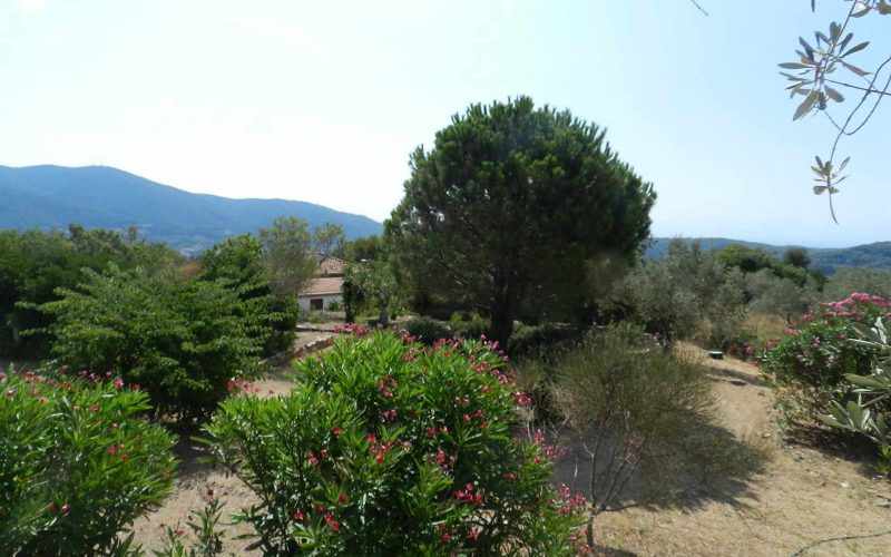 Villa with swimming pool and stunning views to the Sporades Islands Garden