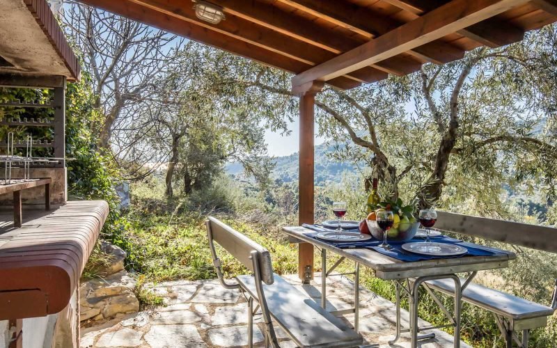 Private villa with swimming pool and spacious land BBQ area