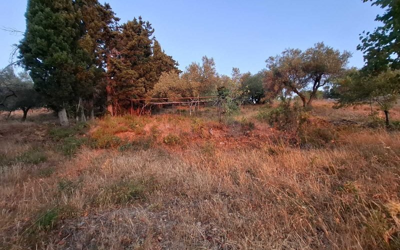 Amazing plot with views in Anania