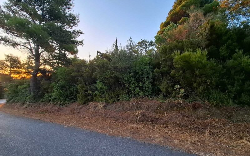 Amazing plot with views in Anania