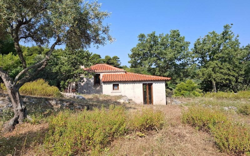 Lovely cottage with big land in Pefkias area