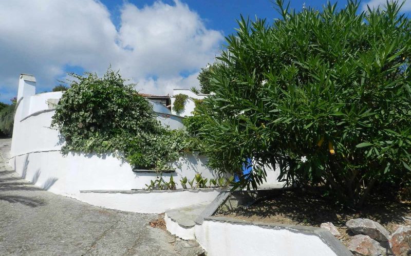 Villa with swimming pool and stunning views to the Sporades Islands Exterior