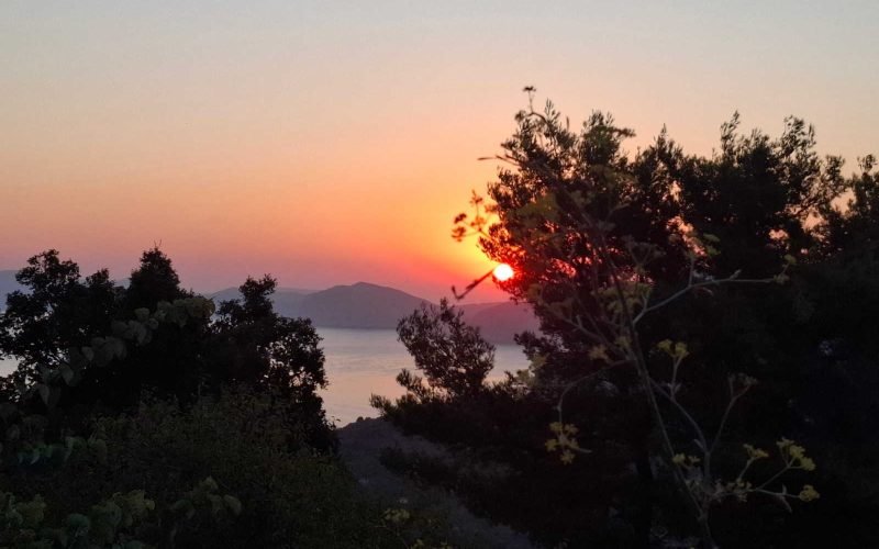 Amazing plot with views in Anania