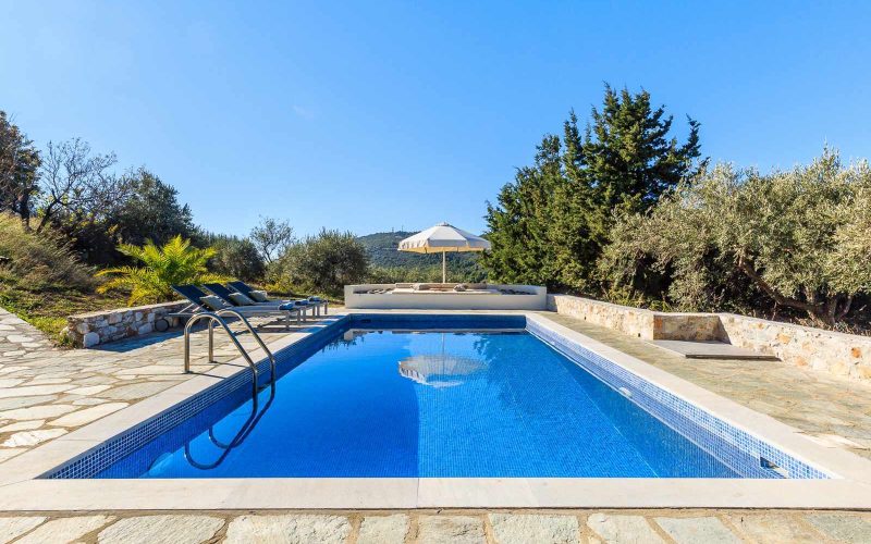 Private villa with swimming pool and spacious land Swimming pool